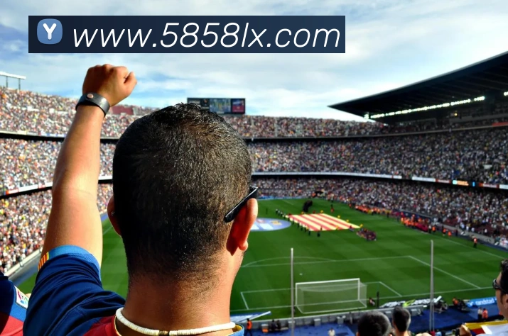 多媒体互动体验